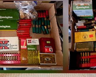 Lots of Ammo!