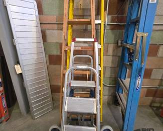4056  Ladders and Dolly