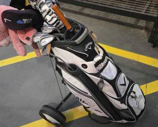 4114  Callaway Golf Club Holders and Tiger Shark Golf Clubs