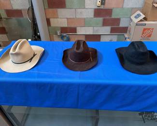 6278  3 Cowboy Hats