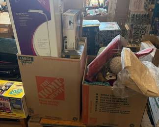 5058  OttLites, Hair Dryer, Floor Lamp, LED Angel