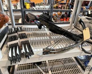 6294  Barnett CrossBow and Arrows