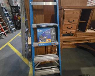4058  Werner Ladder