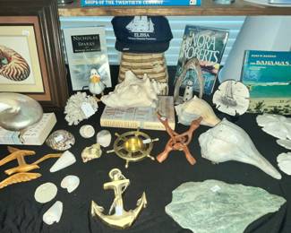 SAND DOLLARS, SHELLS & MORE