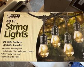 Feit Electric FT. String Lights