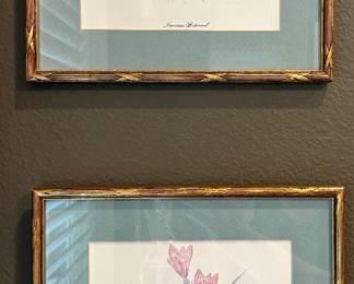 Mary Bertrand Botanicals