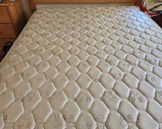 Queen Size Headboard and Mattress.