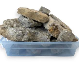 Rocks Containing Fossilized Material HEAVY