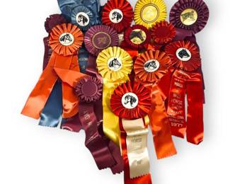 Vintage 1970s Horse Show Ribbons