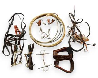 Cowboy Lasso, Horse Bits and Bridles,  More