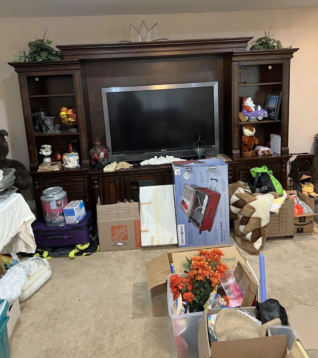 There is quite the variety of items in this photo, including the entertainment center, the Sony television, a stuffed plushie gopher (reminds me of the gopher from Caddyshack), a painted milkcan, a potpourri dish, a ceramic Santa driving a purple car, and lots more.