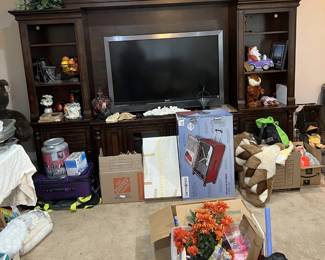 There is quite the variety of items in this photo, including the entertainment center, the Sony television, a stuffed plushie gopher (reminds me of the gopher from Caddyshack), a painted milkcan, a potpourri dish, a ceramic Santa driving a purple car, and lots more.