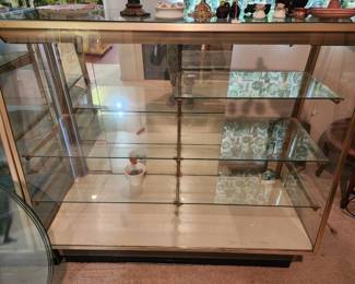 One of the excellent Display Cases for Sale.