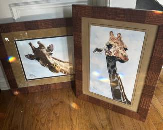 GIRAFFE PICTURES