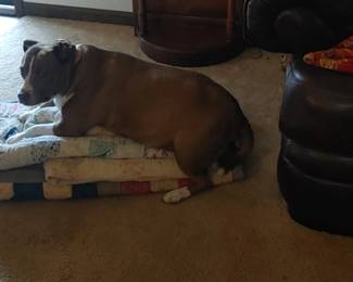 Somebody was going to buy them and pile them on the floor and precious laid on them sorry she had just had a nice strawberry bath however they are for sale