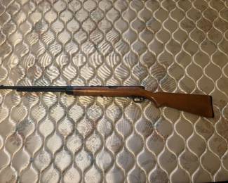 BB Gun. $40.00     22 Long range short range rifle $160.00