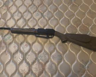 BB Gun. $40.00     22 Long range short range rifle $160.00