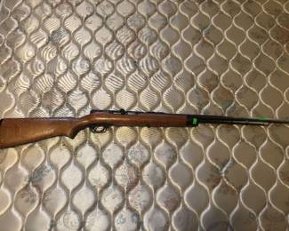 BB Gun. $40.00     22 Long range short range rifle $160.00
