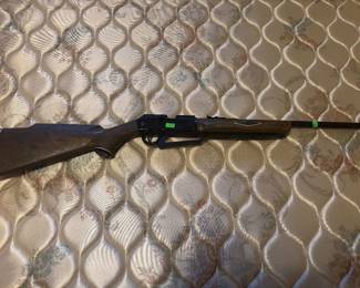 BB Gun. $40.00     22 Long range short range rifle $160.00
