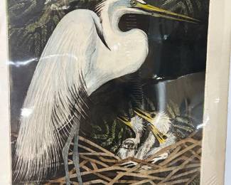 Nona Lee signed print of Louisiana pelican 