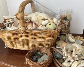 251 largeassortedlotofseashellssanddol