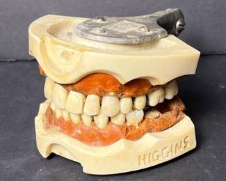 385 vintagedentaltypodontmodelwithartic