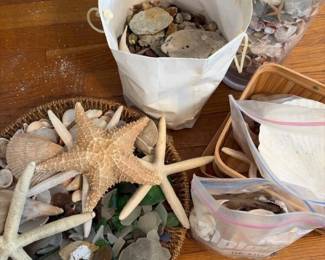 542 largemixedlotseashellsstarfishsea