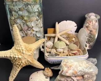 442 hugecoastalbeachdecorlotpreserveds