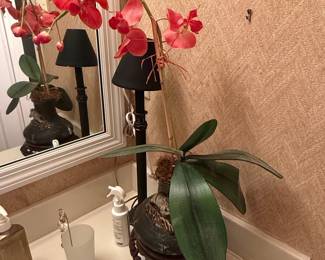 Phalaenopsis Orchid with Decorative Stand