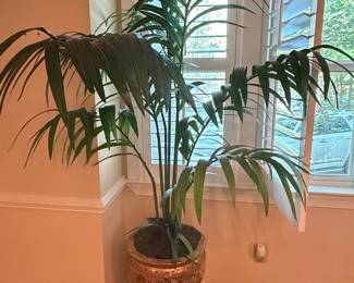 Kentia Palm in Decorative Pot with Stand