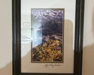 Framed Photograph of Autumn Foliage by Joyce Arlyn Durba