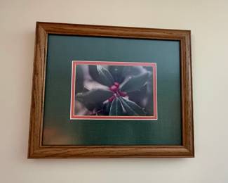 Framed Holly Berry Photograph
