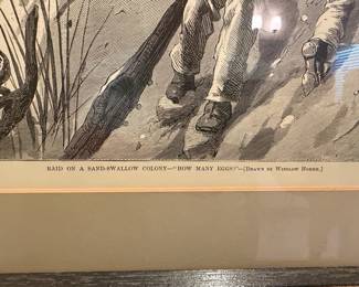 Raid on a Sand-Swallow Colony "How Many Eggs?" by Winslow Homer