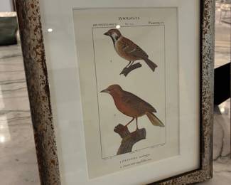 32Apr 28 2026 11 37amTTUx