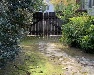 The side of the yard.