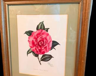 Framed Camellia by Lila  Moore Keen