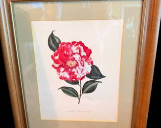 Frame Camellia by Lila Moore Keen