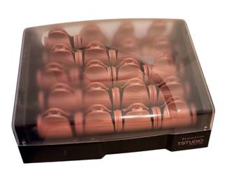Remington T/Studio Collection 20 Hot Rollers H-2050 Flocked Clip Hair Curlers