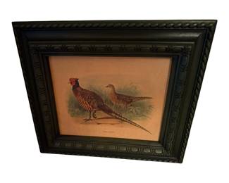 Pheasants