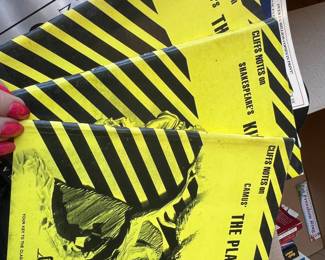 CliffsNotes Study Guides including Camus The Plague