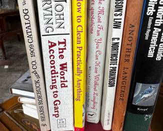 Lot of 7 Assorted Used Books Including John Irving and Audubon Guide