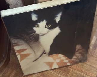 Square Metal Framed Print of a Tuxedo Cat
