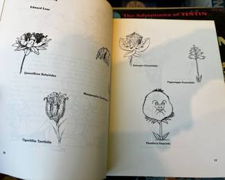 Edward Lear 'Complete Nonsense' Illustrated Softcover Book
