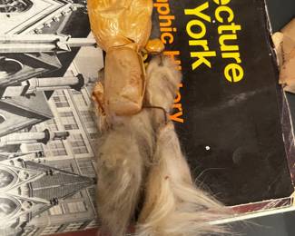 Molded Plastic and Fur Marionette — Mid-Century Old Man Character