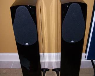 Pair N-4BR Tower Speakers