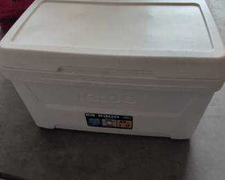 Igloo Laguna Quart Cooler