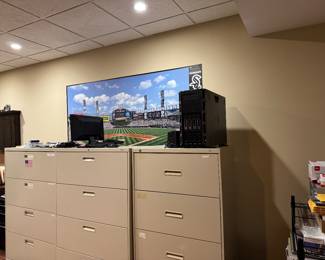 Sox Panoramic Print 