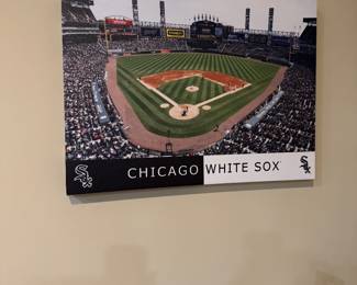 Go White Sox 