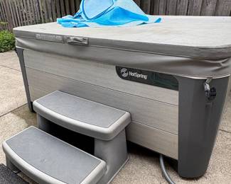 2019 HotSpring hot tub 