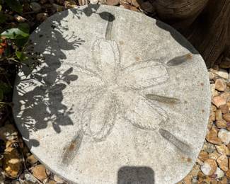 Sand dollar Stepping Stones (2)
